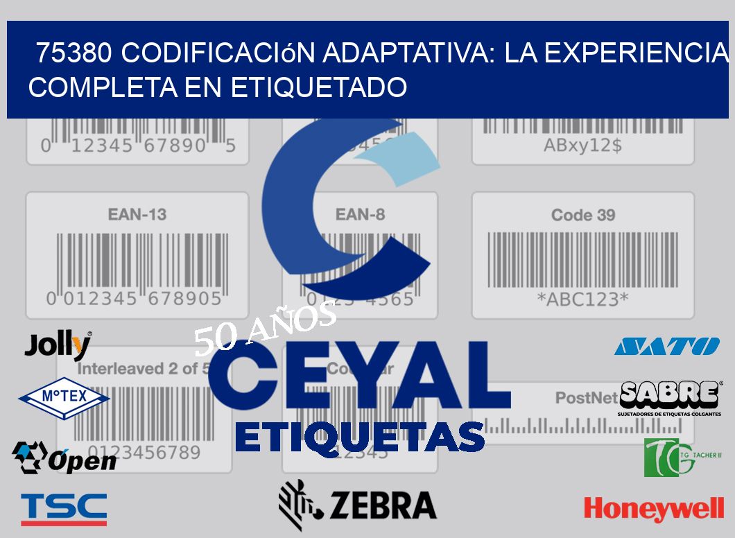 75380 Codificación Adaptativa: La Experiencia Completa en Etiquetado