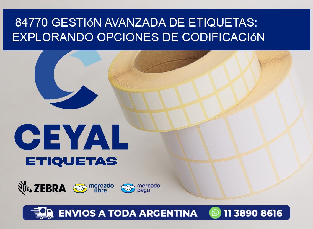 84770 Gestión Avanzada de Etiquetas: Explorando Opciones de Codificación