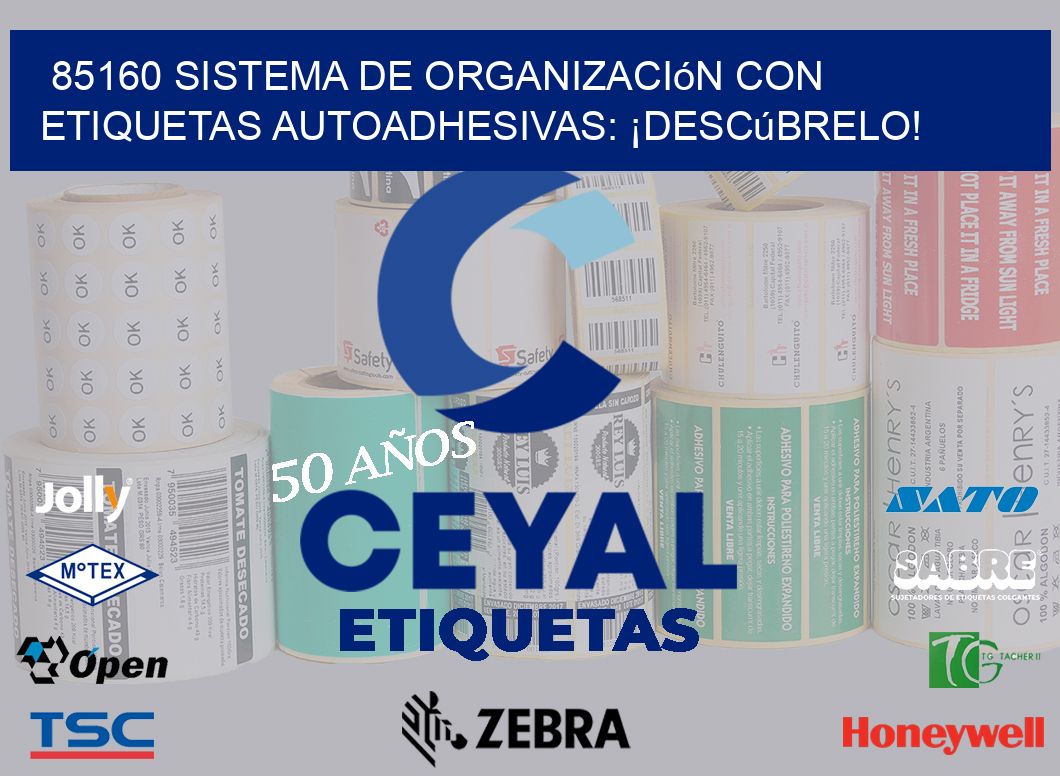 85160 Sistema de Organización con Etiquetas Autoadhesivas: ¡Descúbrelo!