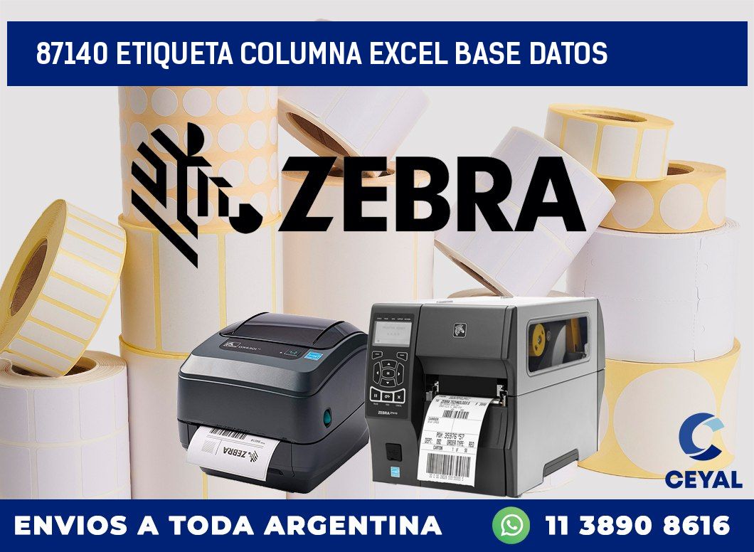 87140 etiqueta columna excel base datos