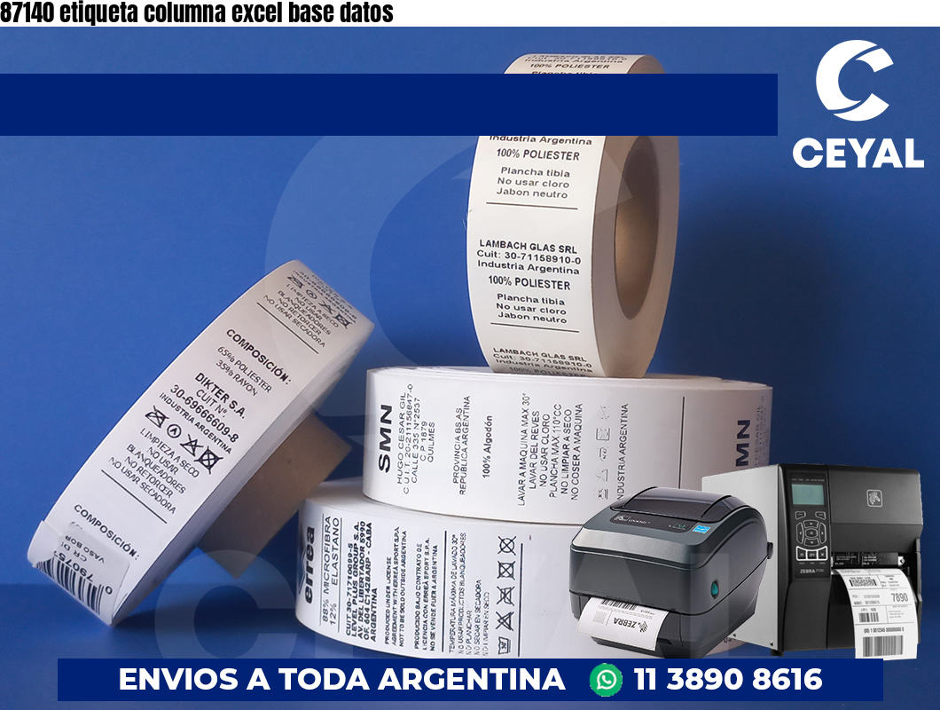87140 etiqueta columna excel base datos