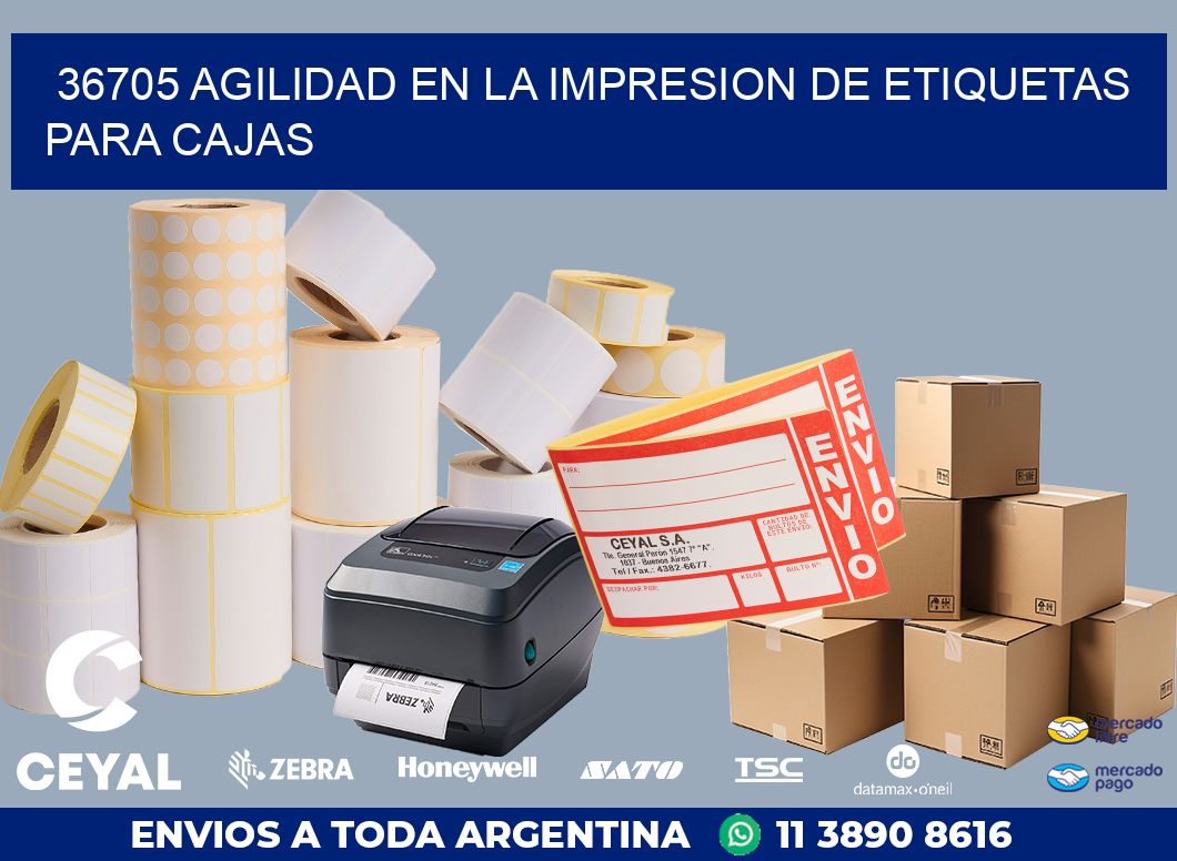 36705 AGILIDAD EN LA IMPRESION DE ETIQUETAS PARA CAJAS