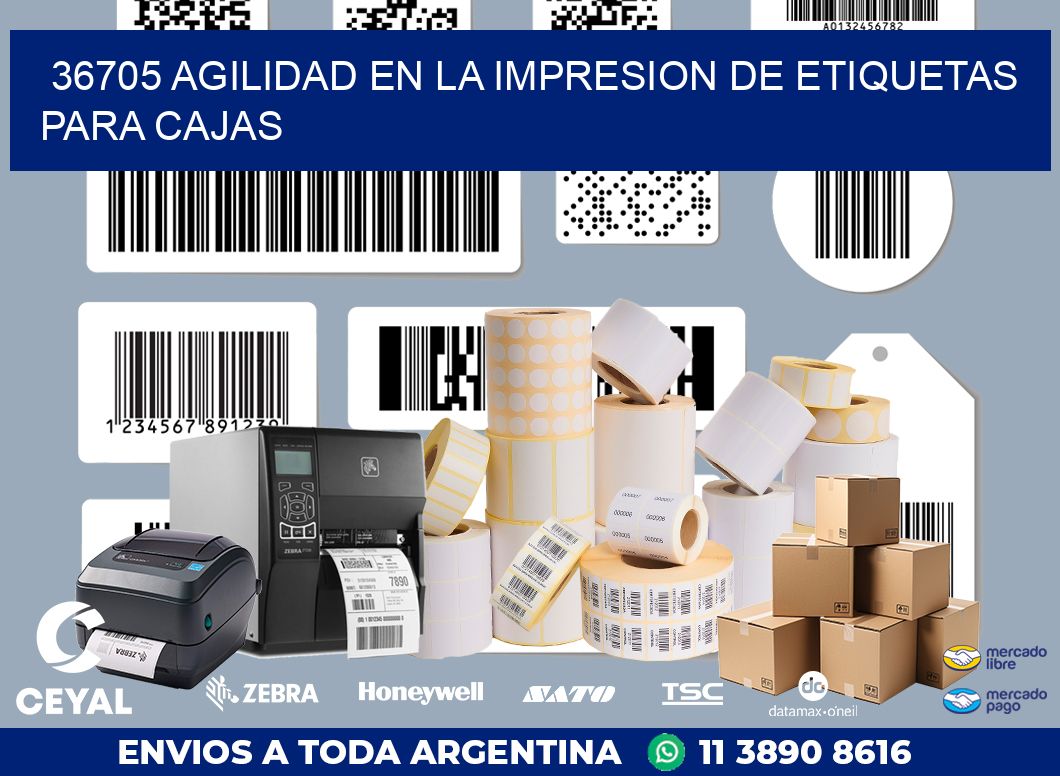 36705 AGILIDAD EN LA IMPRESION DE ETIQUETAS PARA CAJAS