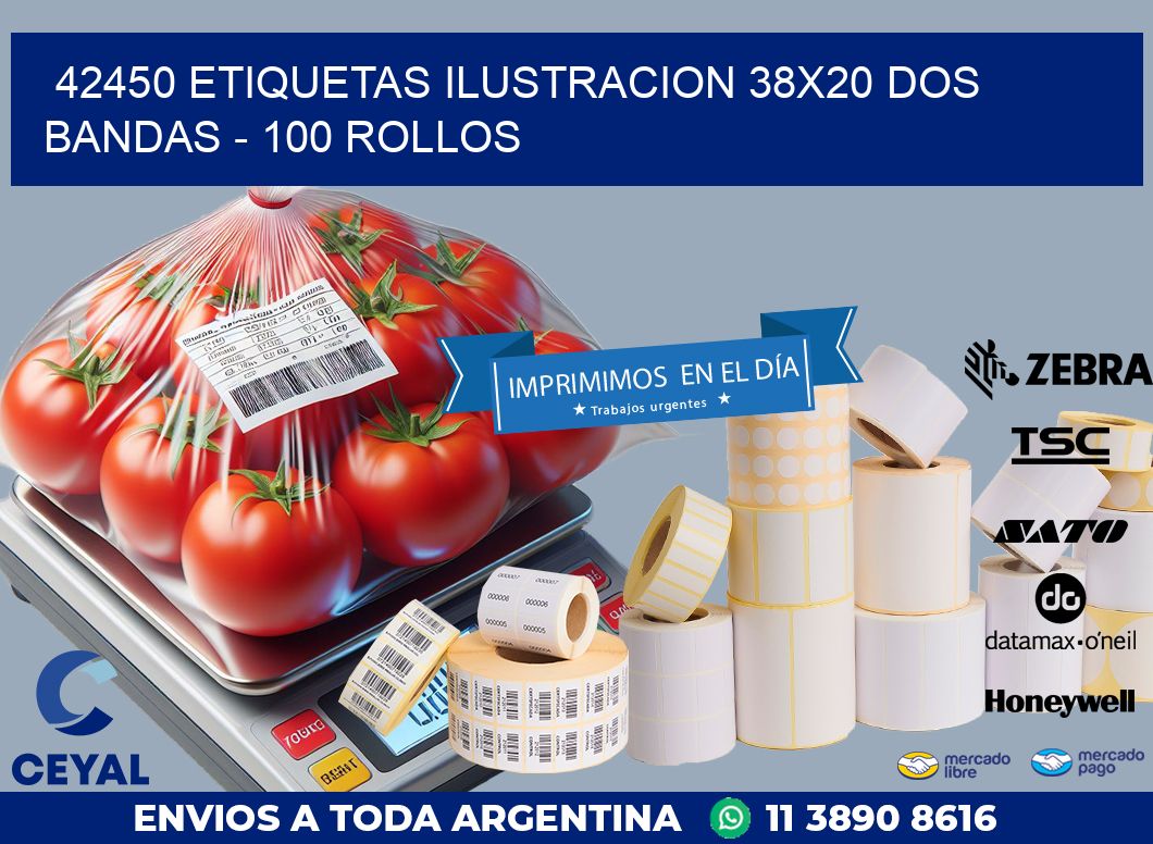 42450 ETIQUETAS ILUSTRACION 38X20 DOS BANDAS – 100 ROLLOS