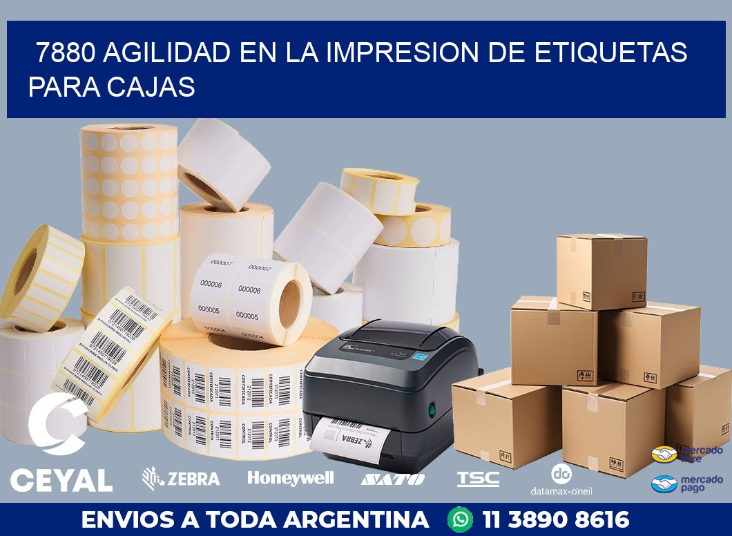 7880 AGILIDAD EN LA IMPRESION DE ETIQUETAS PARA CAJAS