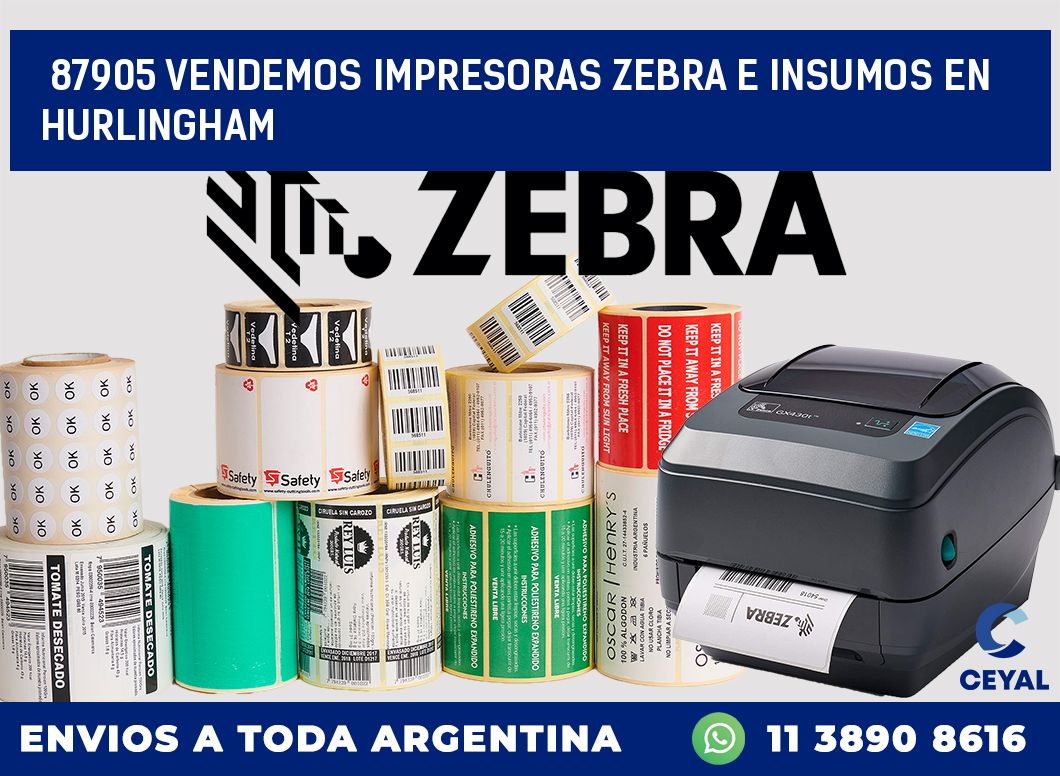 87905 VENDEMOS IMPRESORAS ZEBRA E INSUMOS EN HURLINGHAM