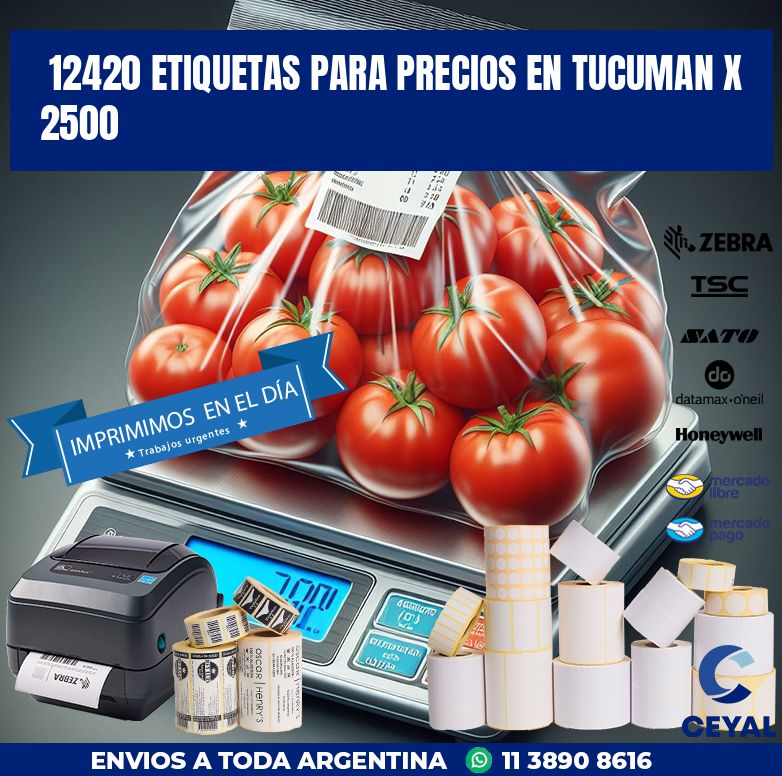 12420 ETIQUETAS PARA PRECIOS EN TUCUMAN X 2500