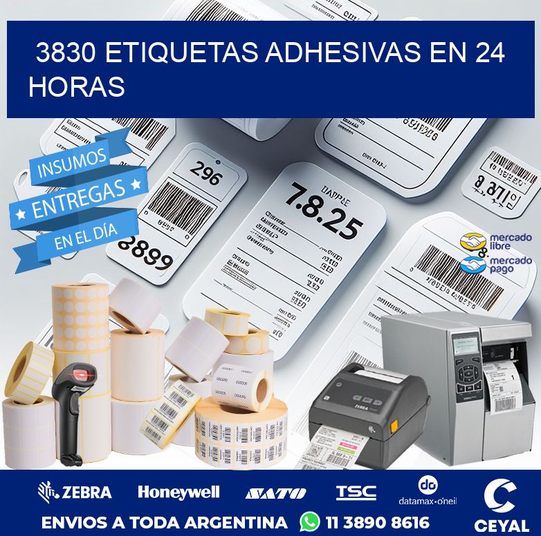 3830 ETIQUETAS ADHESIVAS EN 24 HORAS