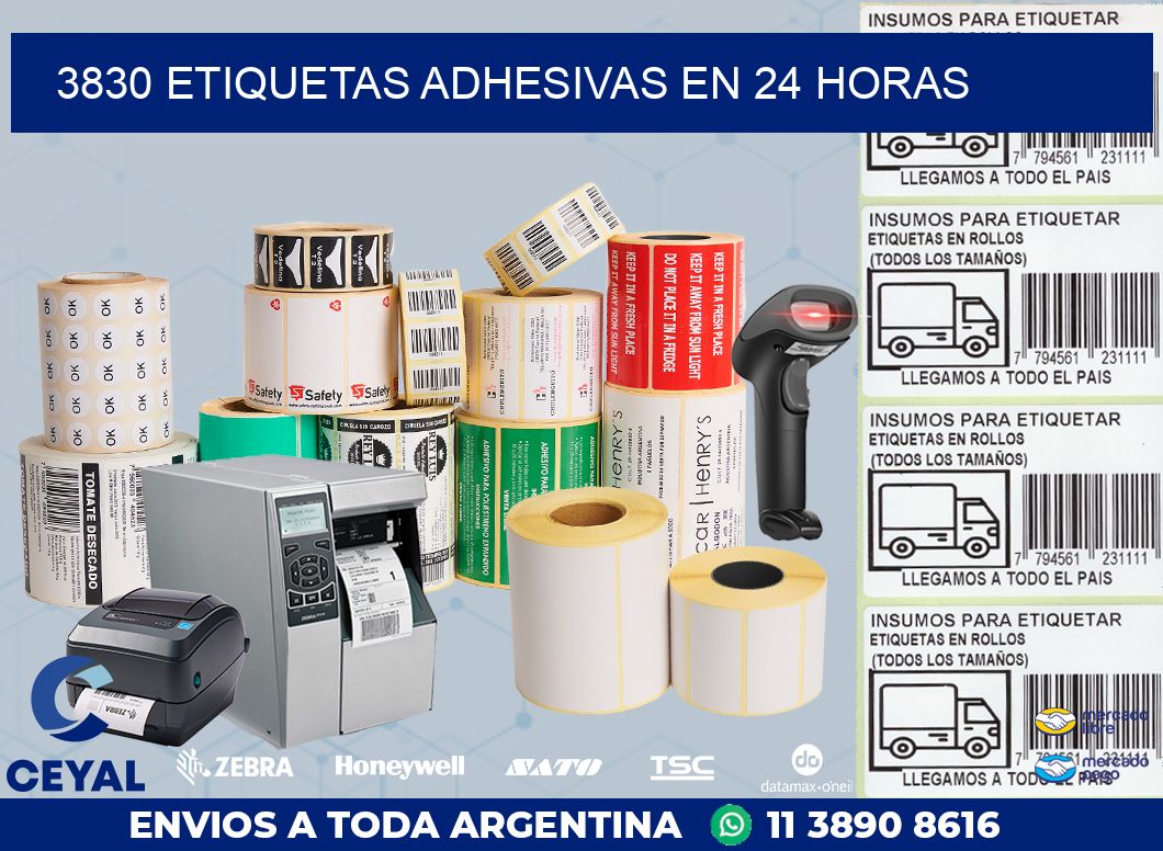 3830 ETIQUETAS ADHESIVAS EN 24 HORAS