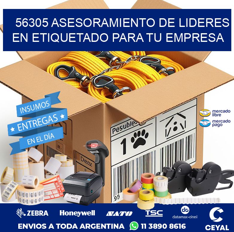 56305 ASESORAMIENTO DE LIDERES EN ETIQUETADO PARA TU EMPRESA
