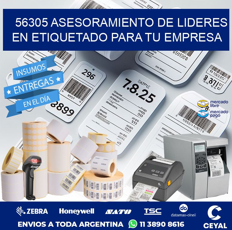 56305 ASESORAMIENTO DE LIDERES EN ETIQUETADO PARA TU EMPRESA
