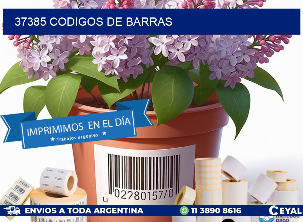 37385 codigos de barras