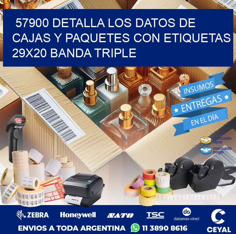 57900 DETALLA LOS DATOS DE CAJAS Y PAQUETES CON ETIQUETAS 29X20 BANDA TRIPLE