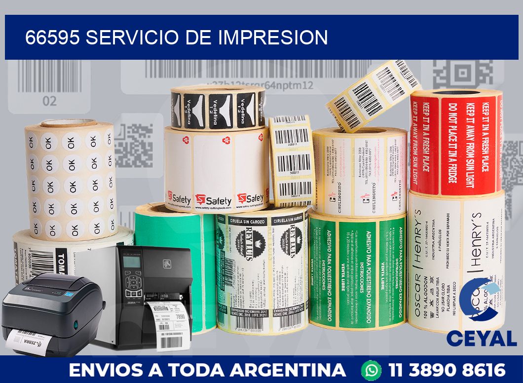 66595 SERVICIO DE IMPRESION
