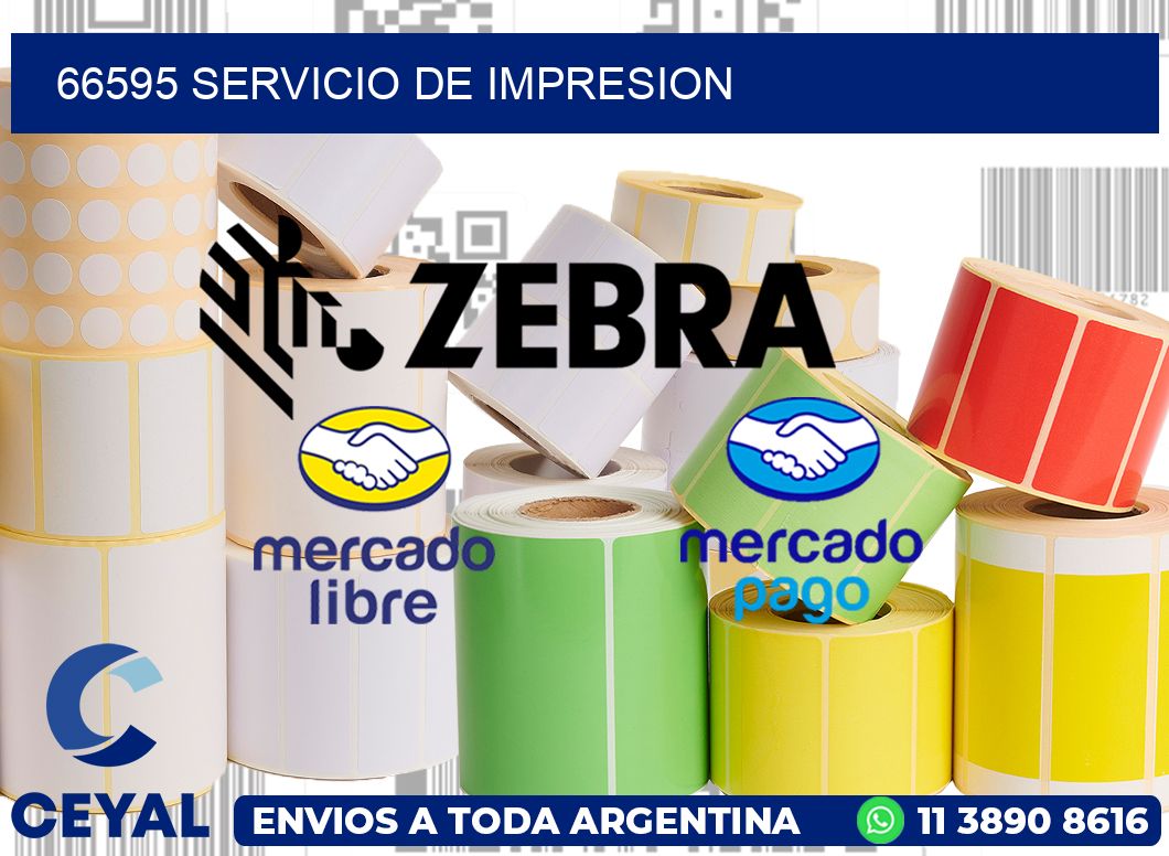 66595 SERVICIO DE IMPRESION