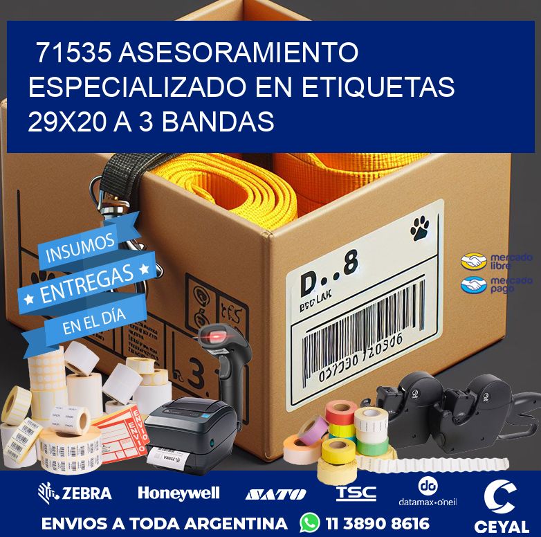71535 ASESORAMIENTO ESPECIALIZADO EN ETIQUETAS 29X20 A 3 BANDAS