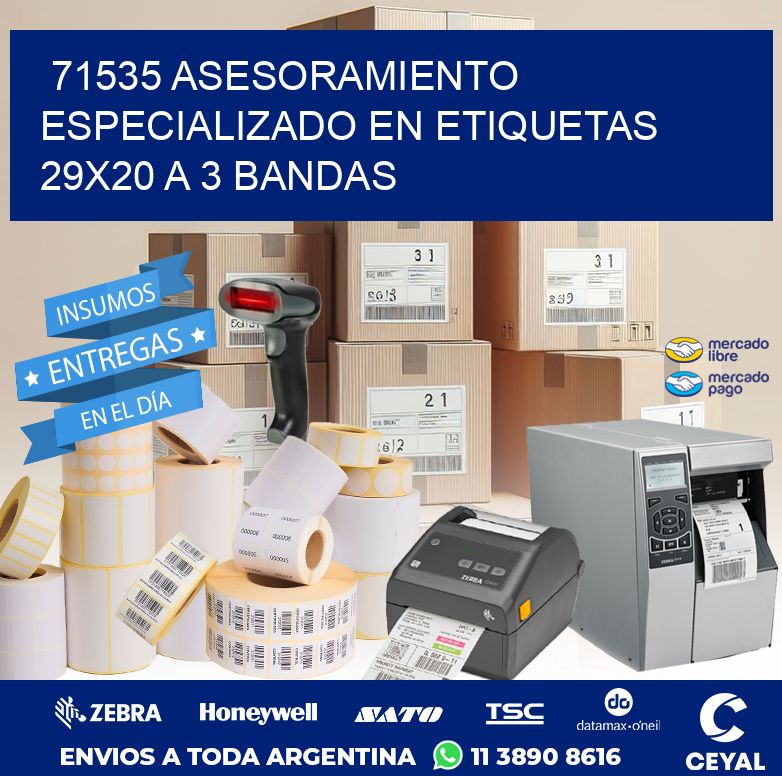 71535 ASESORAMIENTO ESPECIALIZADO EN ETIQUETAS 29X20 A 3 BANDAS