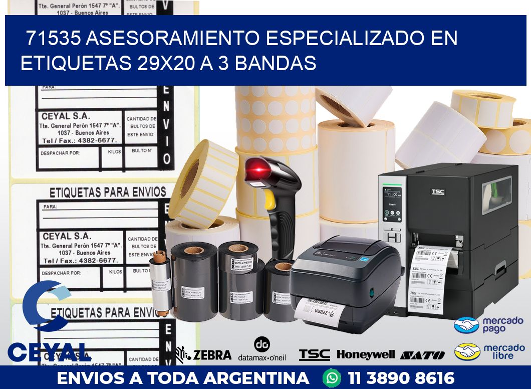 71535 ASESORAMIENTO ESPECIALIZADO EN ETIQUETAS 29X20 A 3 BANDAS