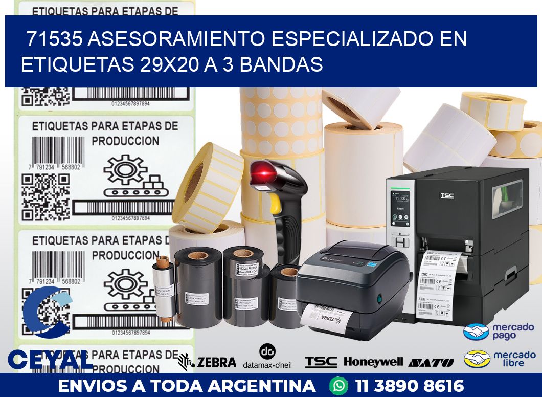 71535 ASESORAMIENTO ESPECIALIZADO EN ETIQUETAS 29X20 A 3 BANDAS