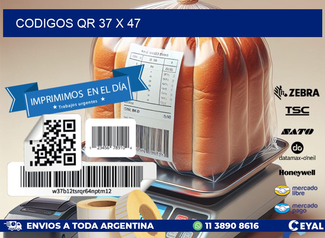 CODIGOS QR 37 x 47