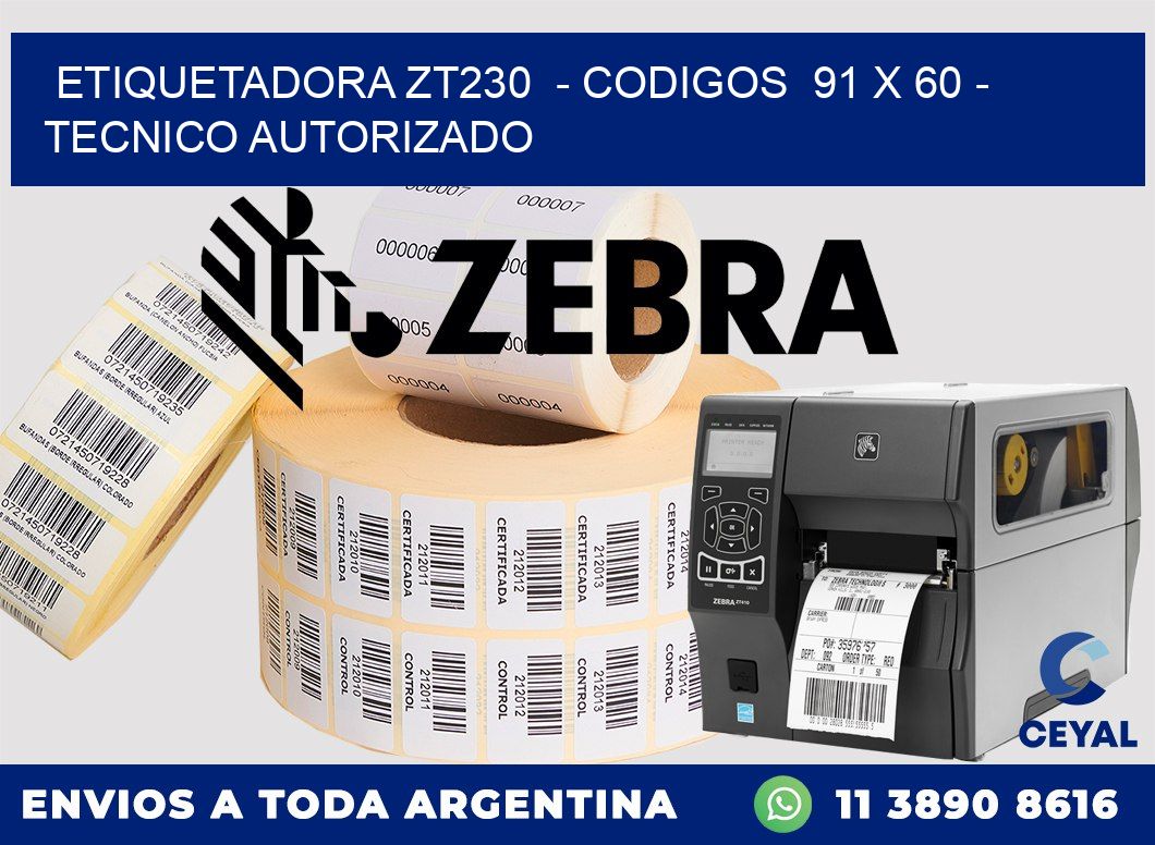 ETIQUETADORA ZT230  - CODIGOS  91 x 60 - TECNICO AUTORIZADO