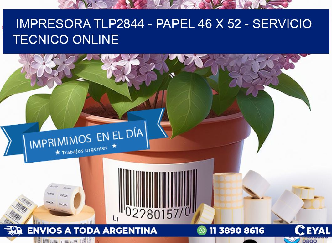 IMPRESORA TLP2844 - PAPEL 46 x 52 - SERVICIO TECNICO ONLINE
