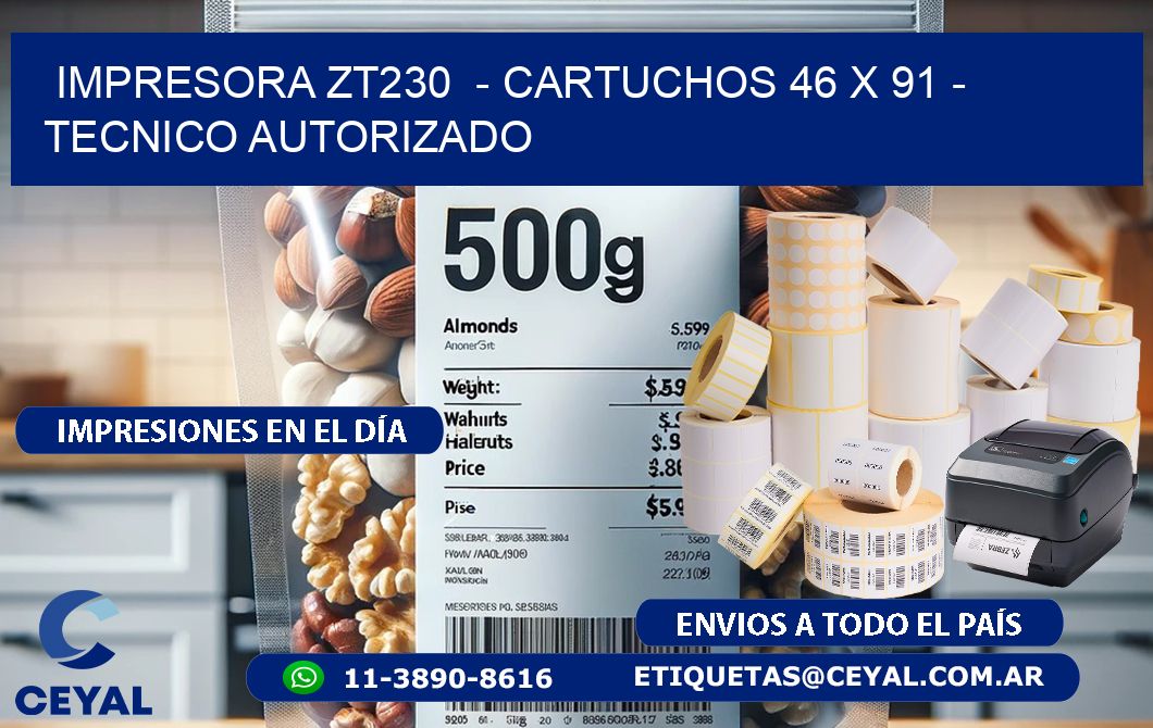 IMPRESORA ZT230 - CARTUCHOS 46 x 91 - TECNICO AUTORIZADO
