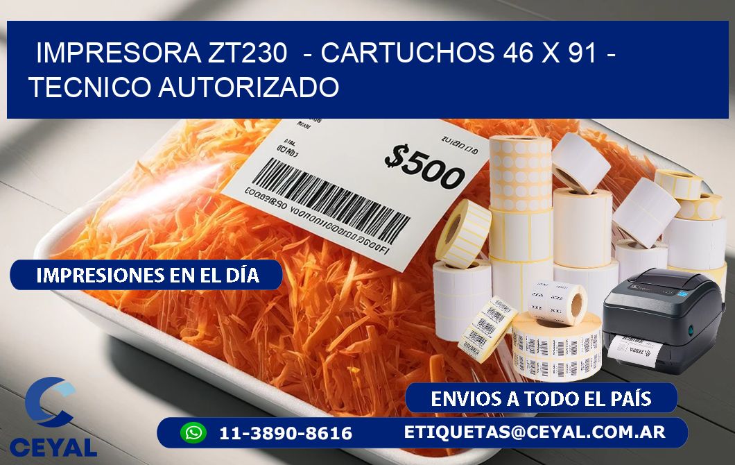 IMPRESORA ZT230 - CARTUCHOS 46 x 91 - TECNICO AUTORIZADO