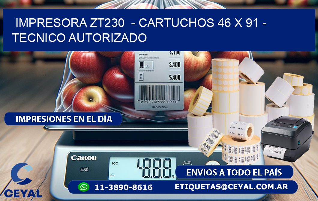 IMPRESORA ZT230 - CARTUCHOS 46 x 91 - TECNICO AUTORIZADO