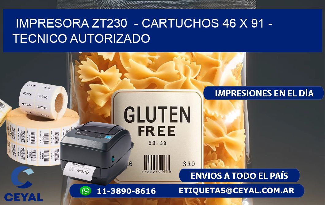 IMPRESORA ZT230 - CARTUCHOS 46 x 91 - TECNICO AUTORIZADO