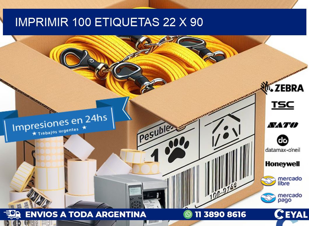 IMPRIMIR 100 ETIQUETAS 22 x 90