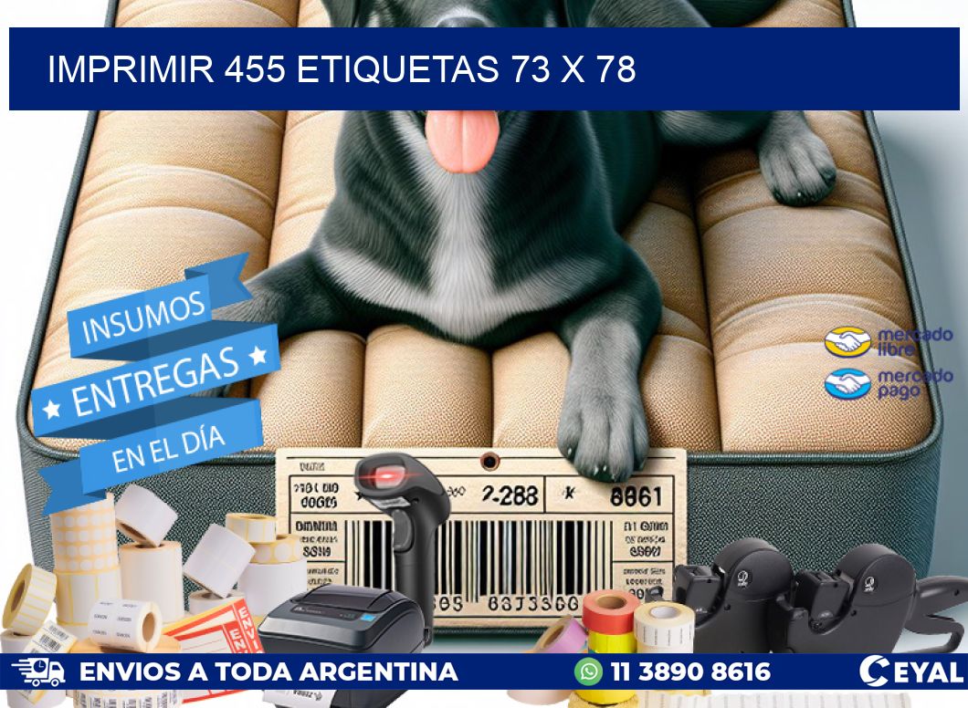 IMPRIMIR 455 ETIQUETAS 73 x 78