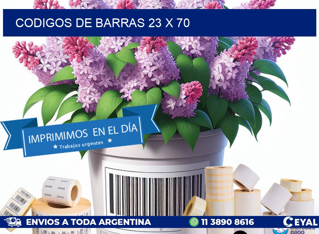 codigos de barras 23 x 70