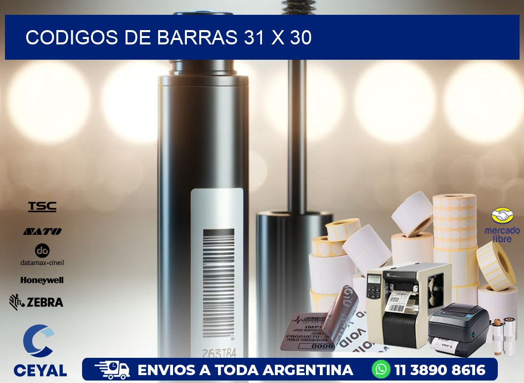 codigos de barras 31 x 30
