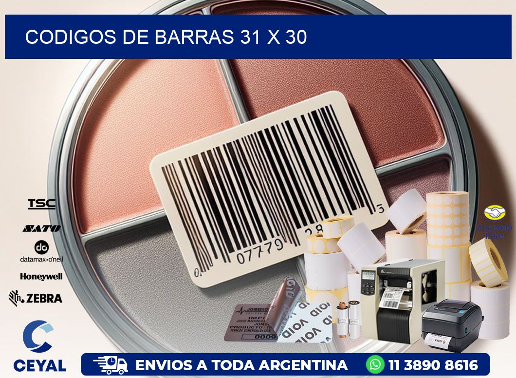 codigos de barras 31 x 30