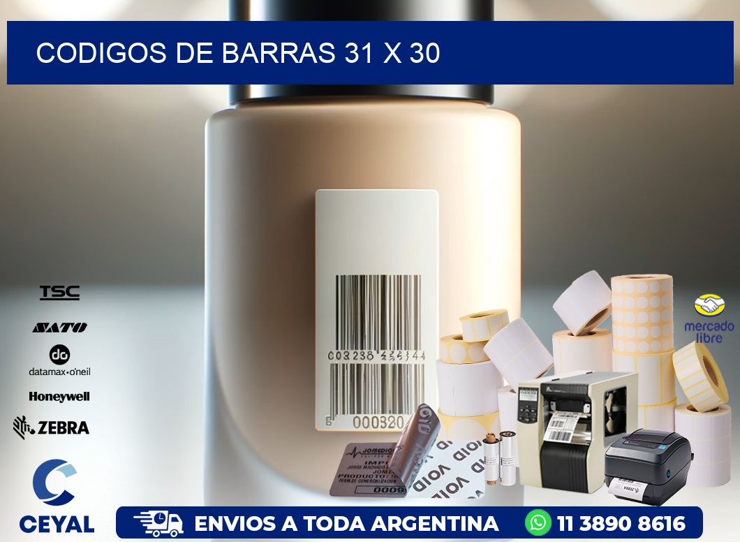 codigos de barras 31 x 30