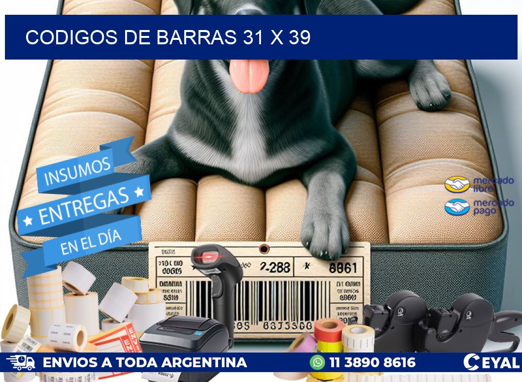 codigos de barras 31 x 39