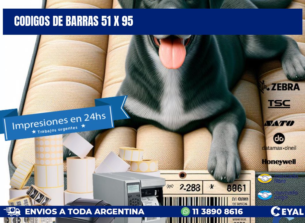 codigos de barras 51 x 95