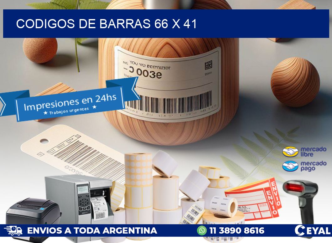 codigos de barras 66 x 41