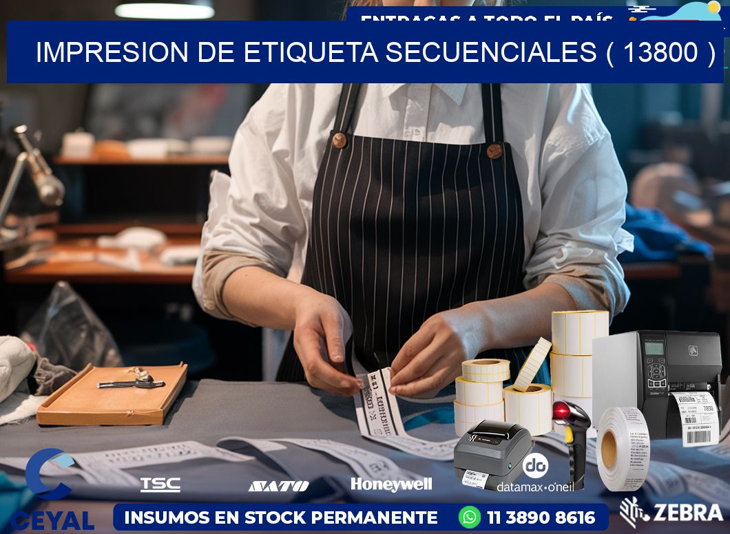IMPRESION DE ETIQUETA SECUENCIALES ( 13800 )