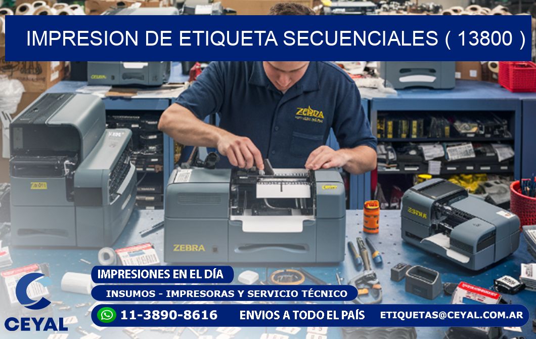 IMPRESION DE ETIQUETA SECUENCIALES ( 13800 )