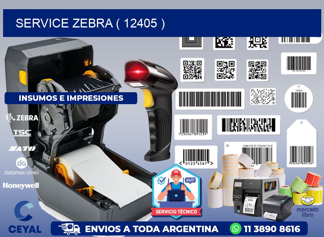 service zebra ( 12405 )