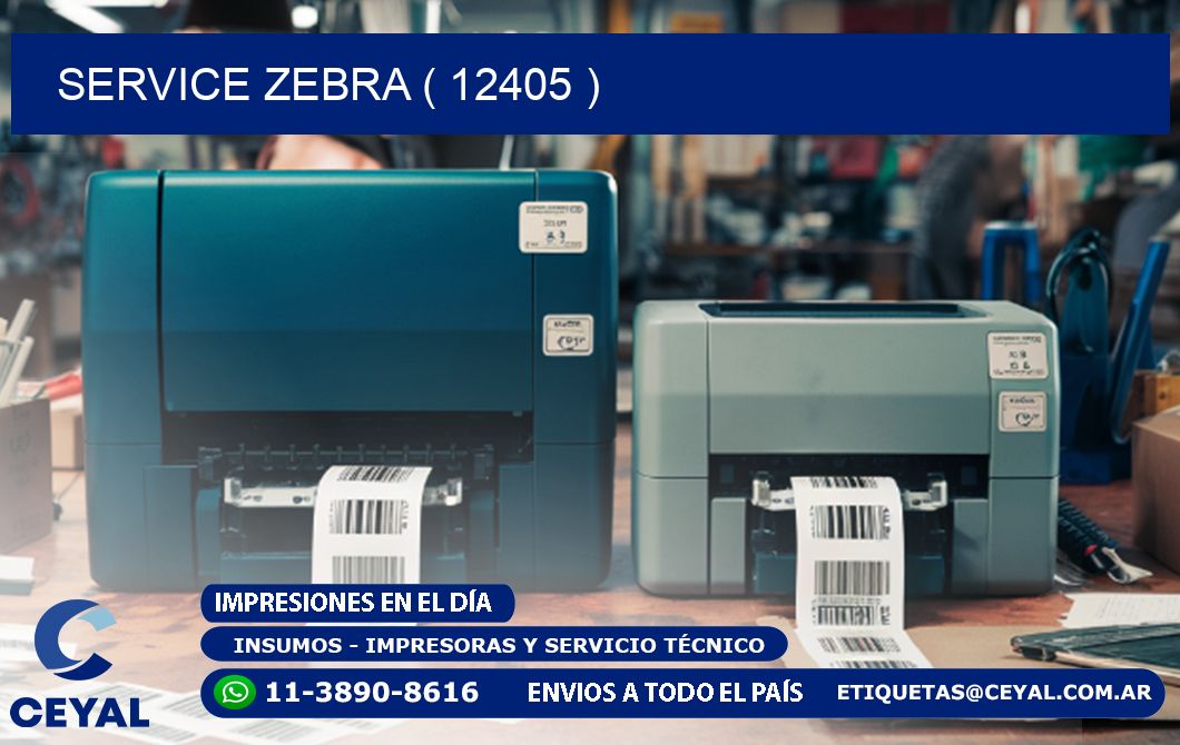 service zebra ( 12405 )