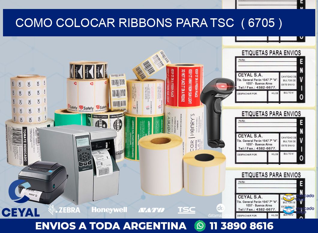 COMO COLOCAR RIBBONS PARA TSC  ( 6705 )