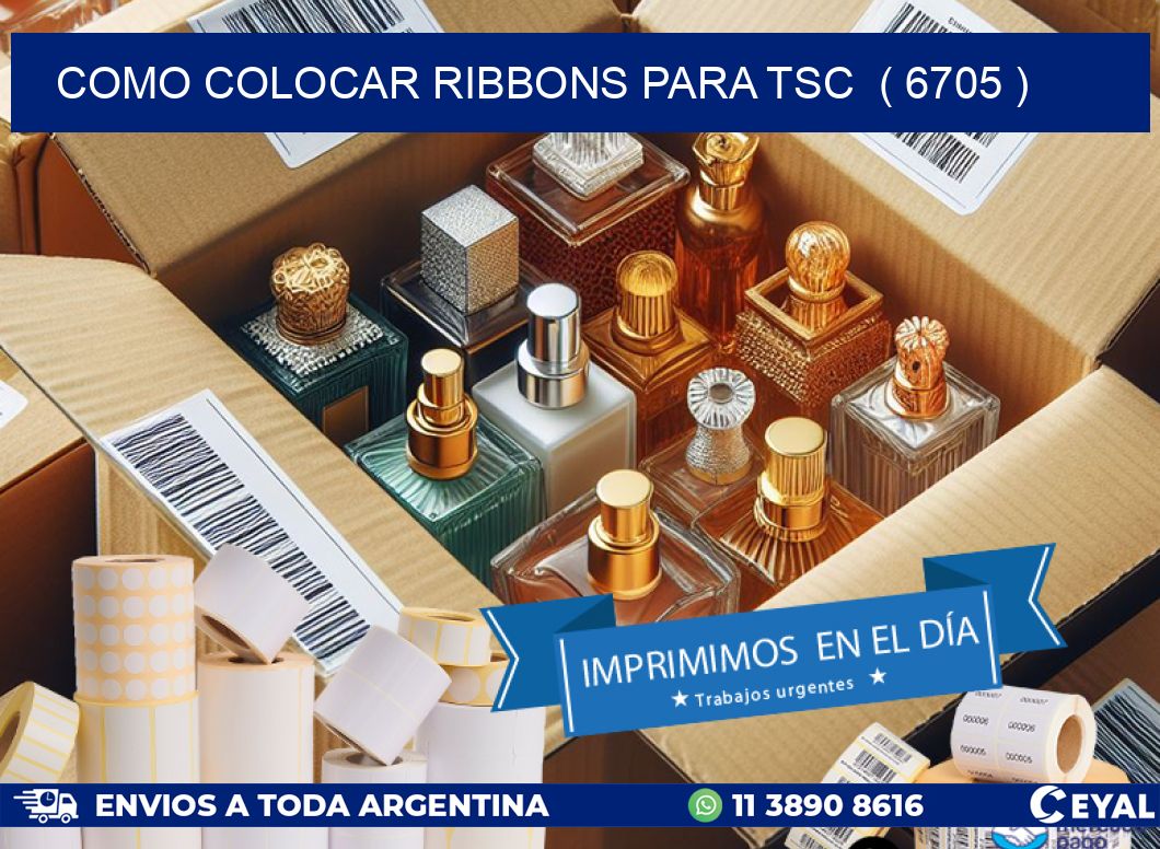 COMO COLOCAR RIBBONS PARA TSC ( 6705 )