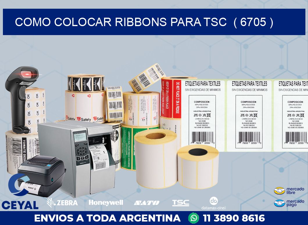 COMO COLOCAR RIBBONS PARA TSC ( 6705 )