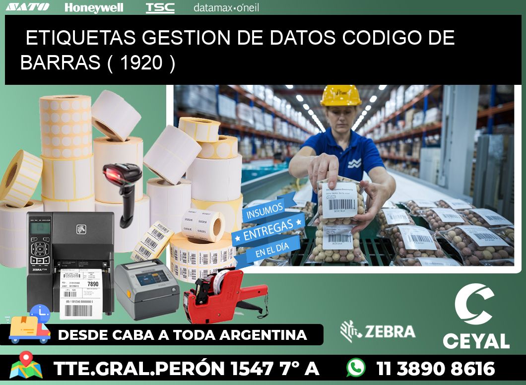 ETIQUETAS GESTION DE DATOS CODIGO DE BARRAS ( 1920 )