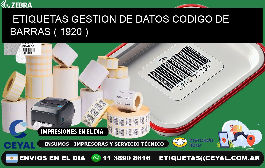 ETIQUETAS GESTION DE DATOS CODIGO DE BARRAS ( 1920 )