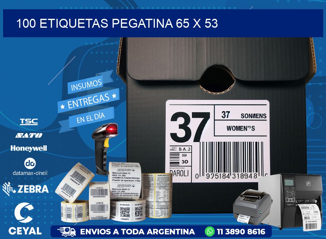 100 ETIQUETAS PEGATINA 65 x 53