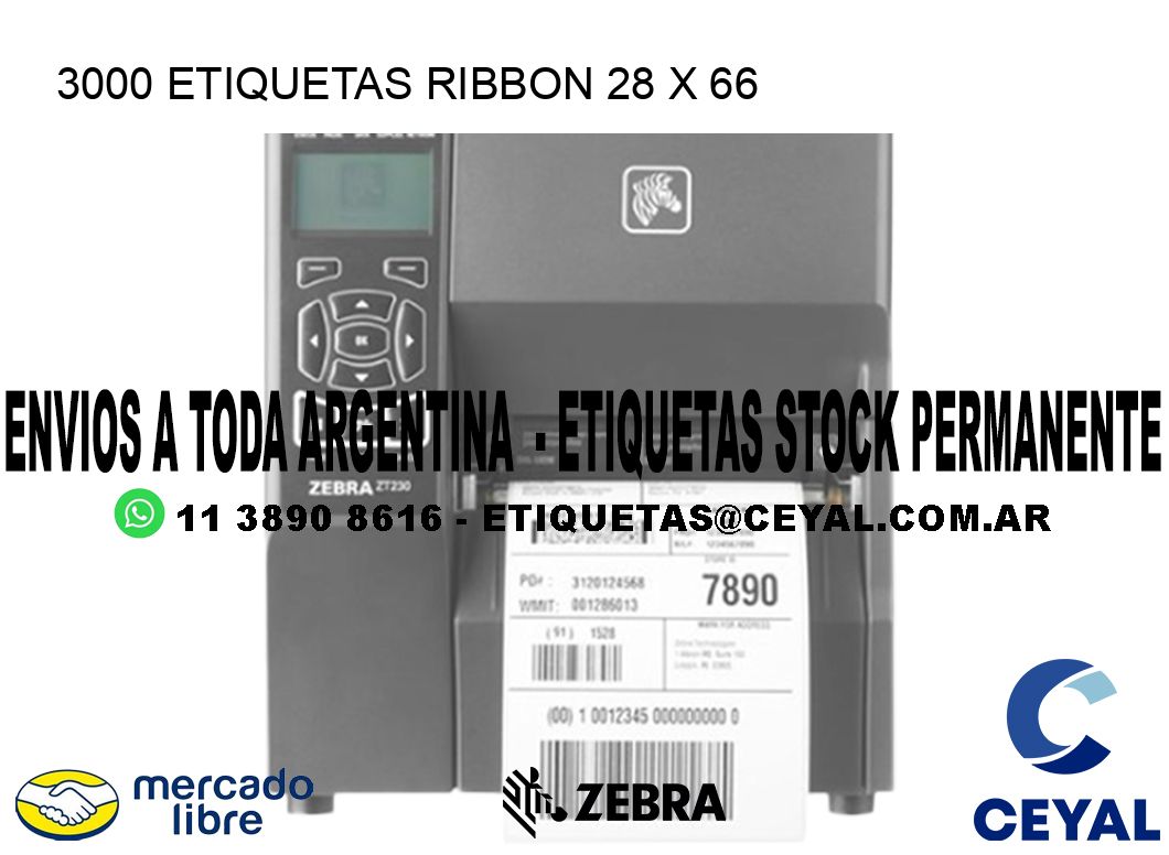 3000 ETIQUETAS RIBBON 28 x 66